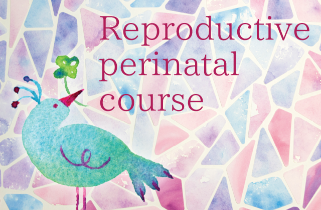 【第3回】〜妊活中から始める母体管理〜俵史子先生の生殖周産期講座