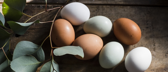 ＡＭＨが低い場合、高刺激での採卵では数が減る？